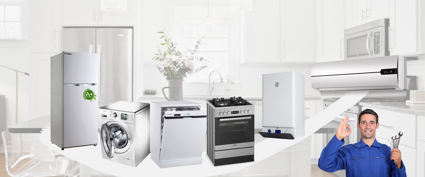 Muş Electrolux Servisi